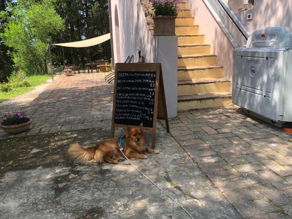 Bb Gli Aristogatti Bed and Breakfast Ghizzano Εξωτερικό φωτογραφία